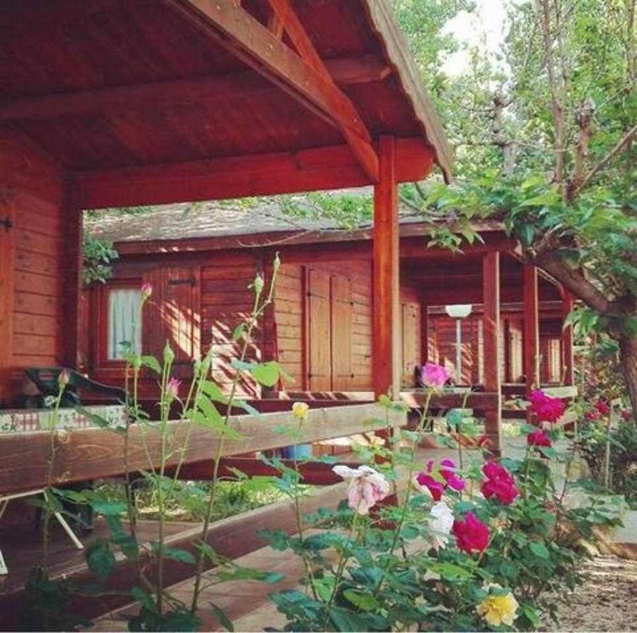 Bungalow & Camping Fuente De Regrustan Graus Esterno foto